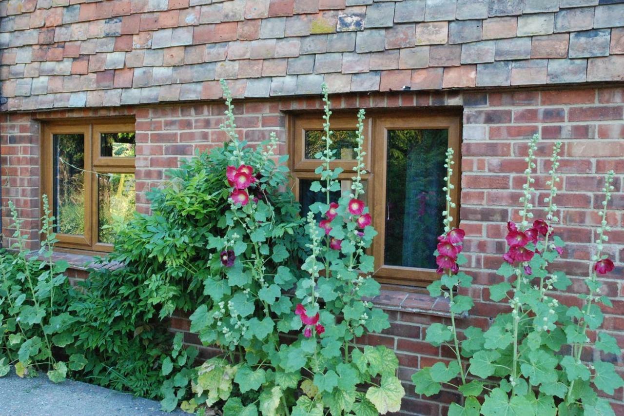 Hollyhock Cottage Ашфорд Экстерьер фото